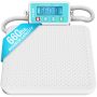 Medical Scale - Heavy Duty