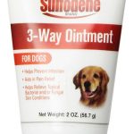 Infection Prevention for Dogs