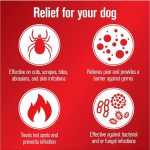 Infection Prevention for Dogs - Image 4