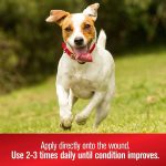 Infection Prevention for Dogs - Image 5