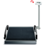 Electronic Wheelchair Scales