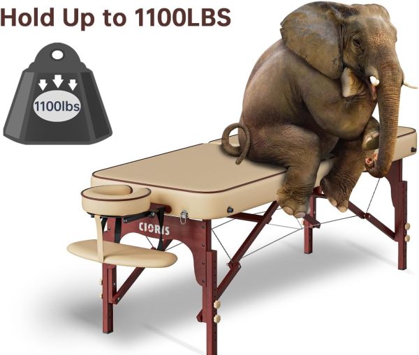 Professional Massage Table - Image 5