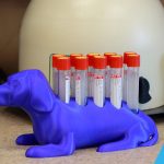 Blood Tube Rack - Image 4
