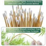 Cotton Swabs With Reusable Box - Image 4