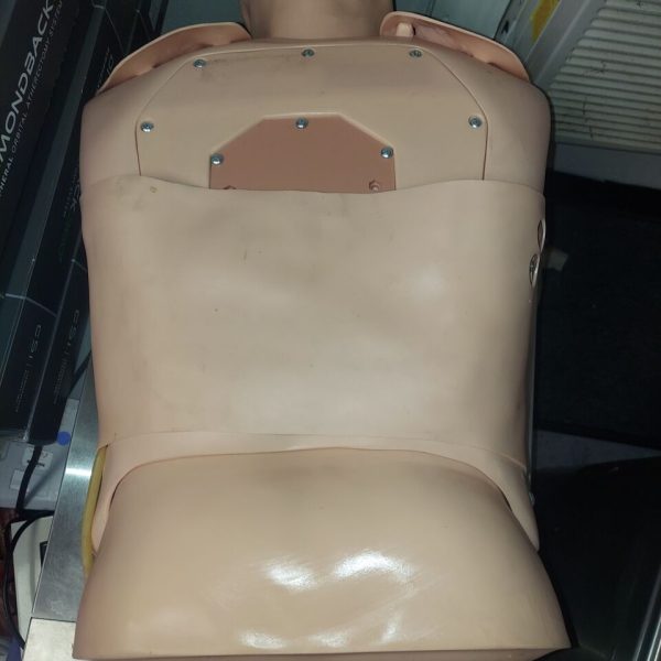 Medical Trainer Manikin - Image 4