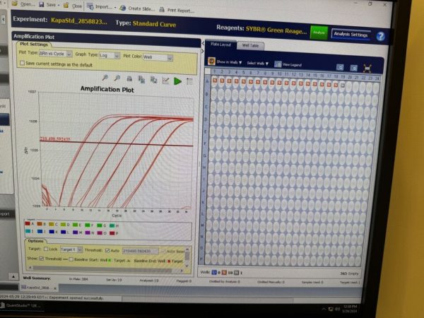 15B 12 Flex Real-Time Pcr System