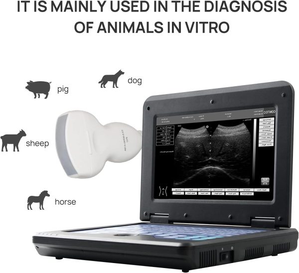 Contec Veterinary Portable Ultrasound