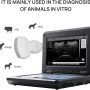 Contec Veterinary Portable Ultrasound