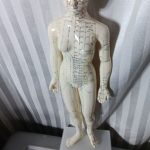 Acupuncture Meridians Female Model - Image 3