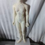 Acupuncture Meridians Female Model - Image 4