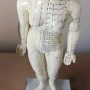 Acupuncture Meridians Female Model