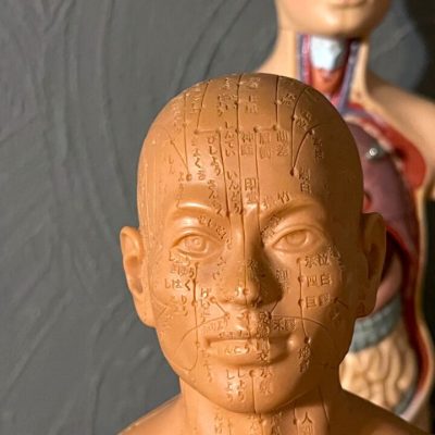 PROFESSIONAL DOLL TEACHING