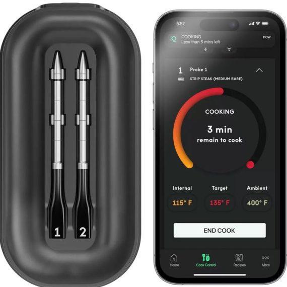 Disposable Thermometers