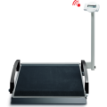 Electronic Wheelchair Scales