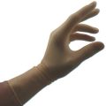 Latex Surgeon Gloves