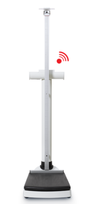 High Capacity Digital column scale