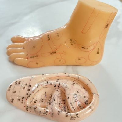 Vintage Human Ear and Foot